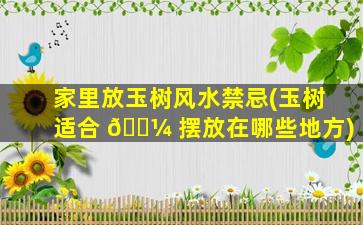 家里放玉树风水禁忌(玉树适合 🐼 摆放在哪些地方)